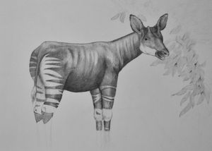 Pencil drawing of a non-anthro okapi near a leafy tree.