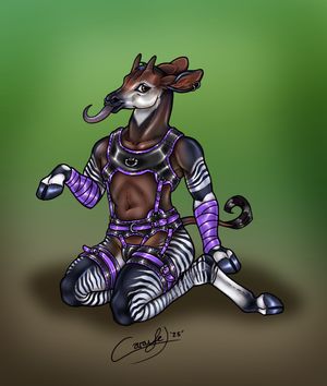 An anthro okapi sits on his ankles, wearing a snazzy harness of black with purple accents/strapping. His arms have matching purple wraps.
